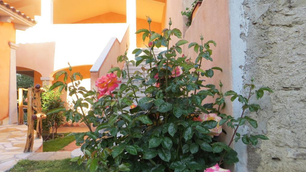 Il Viandante Hotel San Teodoro  Kültér fotó