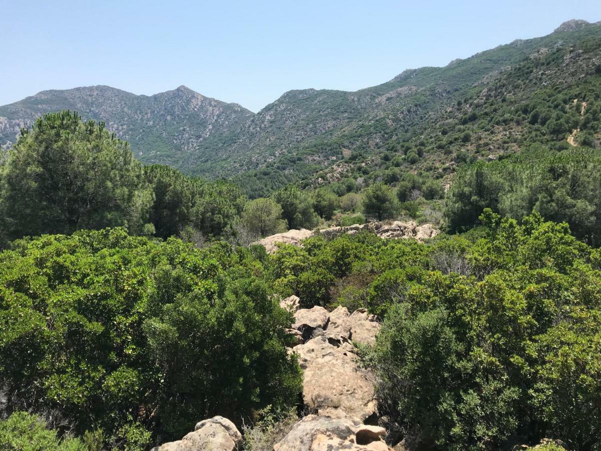Il Viandante Hotel San Teodoro  Kültér fotó